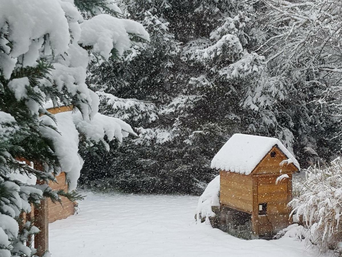 Apartament Harzer Auszeit Hattorf am Harz Zewnętrze zdjęcie