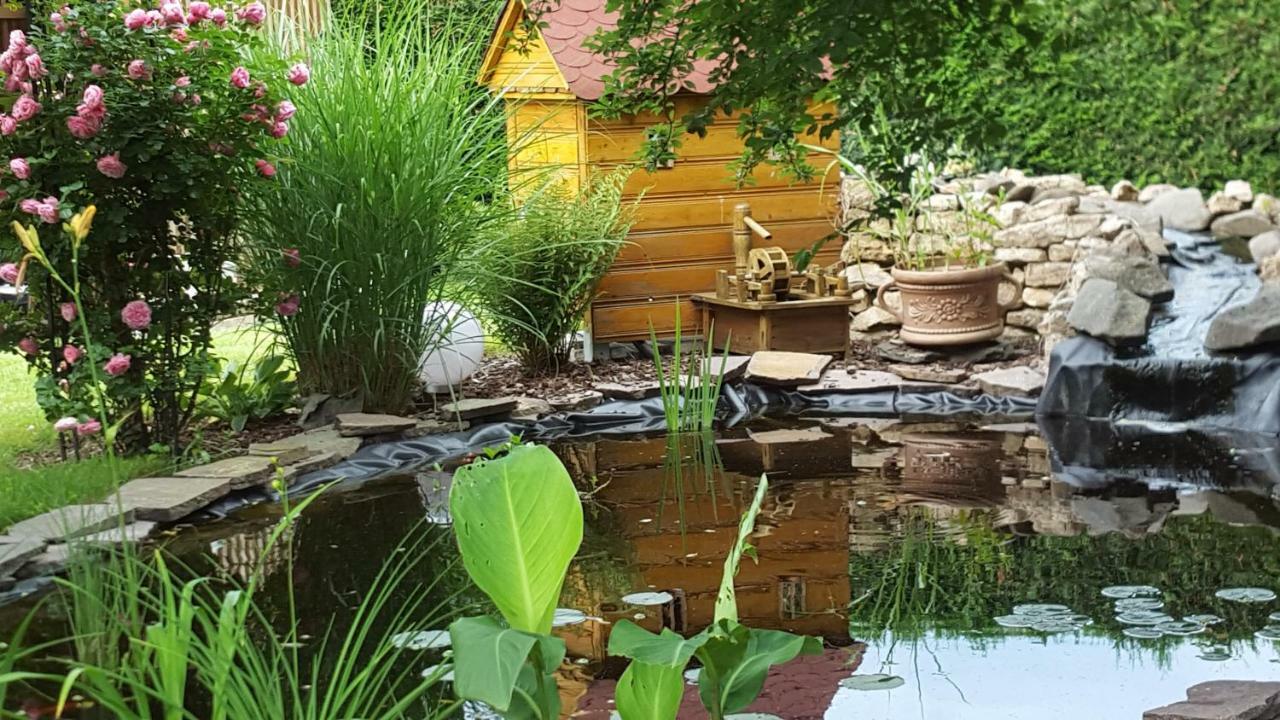 Apartament Harzer Auszeit Hattorf am Harz Zewnętrze zdjęcie